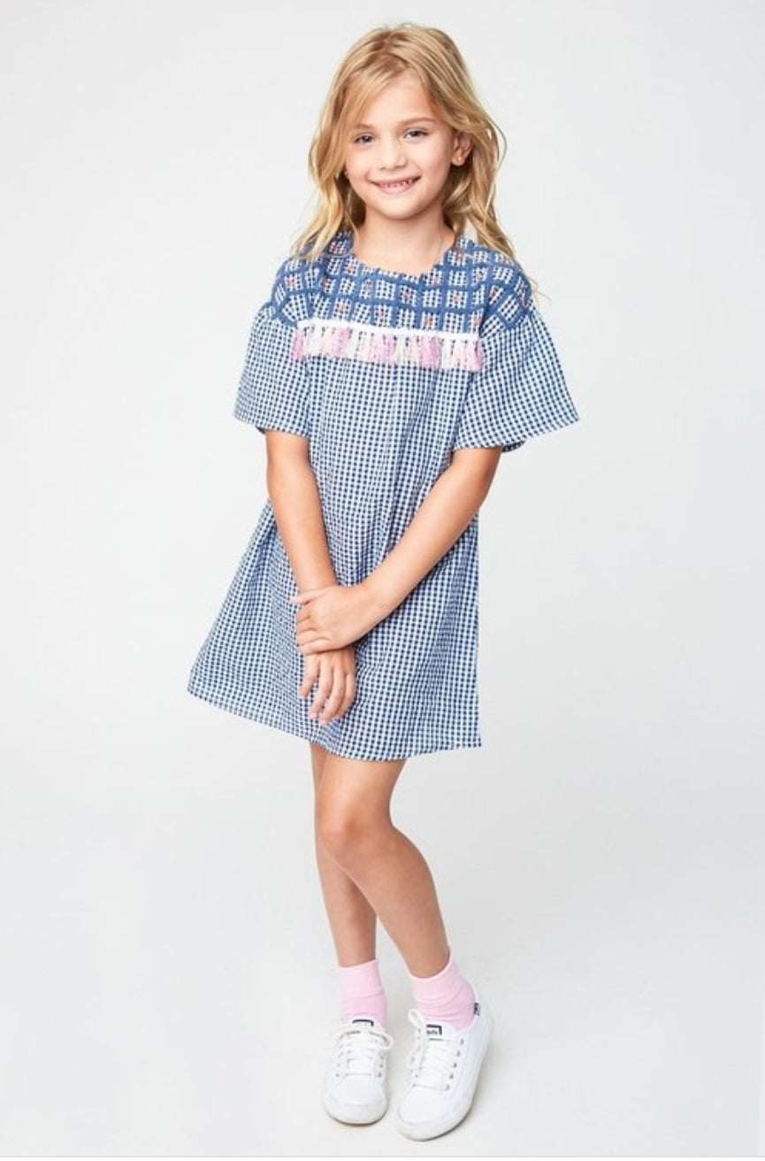 Mini Embroidered Gingham Shirt Dress – Kooky's Kloset