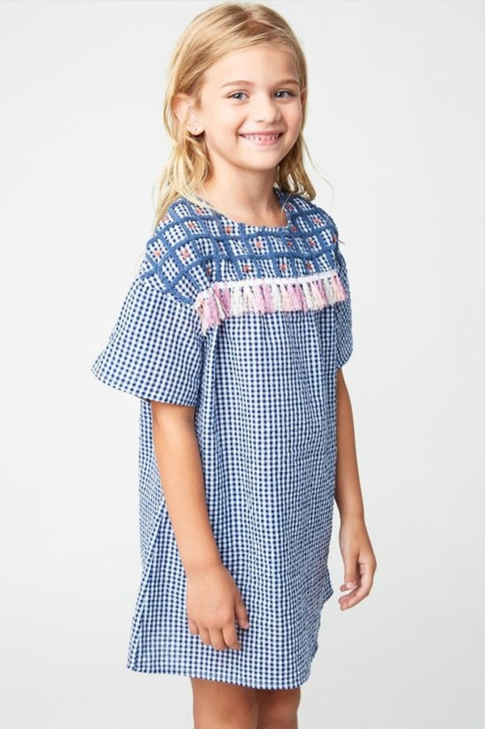 Mini Embroidered Gingham Shirt Dress Kooky's Kloset Mini Embroidered Gingham Shirt Dress Kooky's Kloset