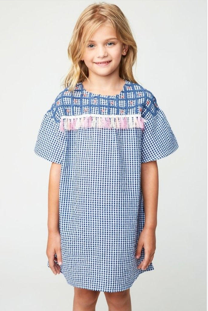 Mini Embroidered Gingham Shirt Dress Mini Embroidered Gingham Shirt Dress